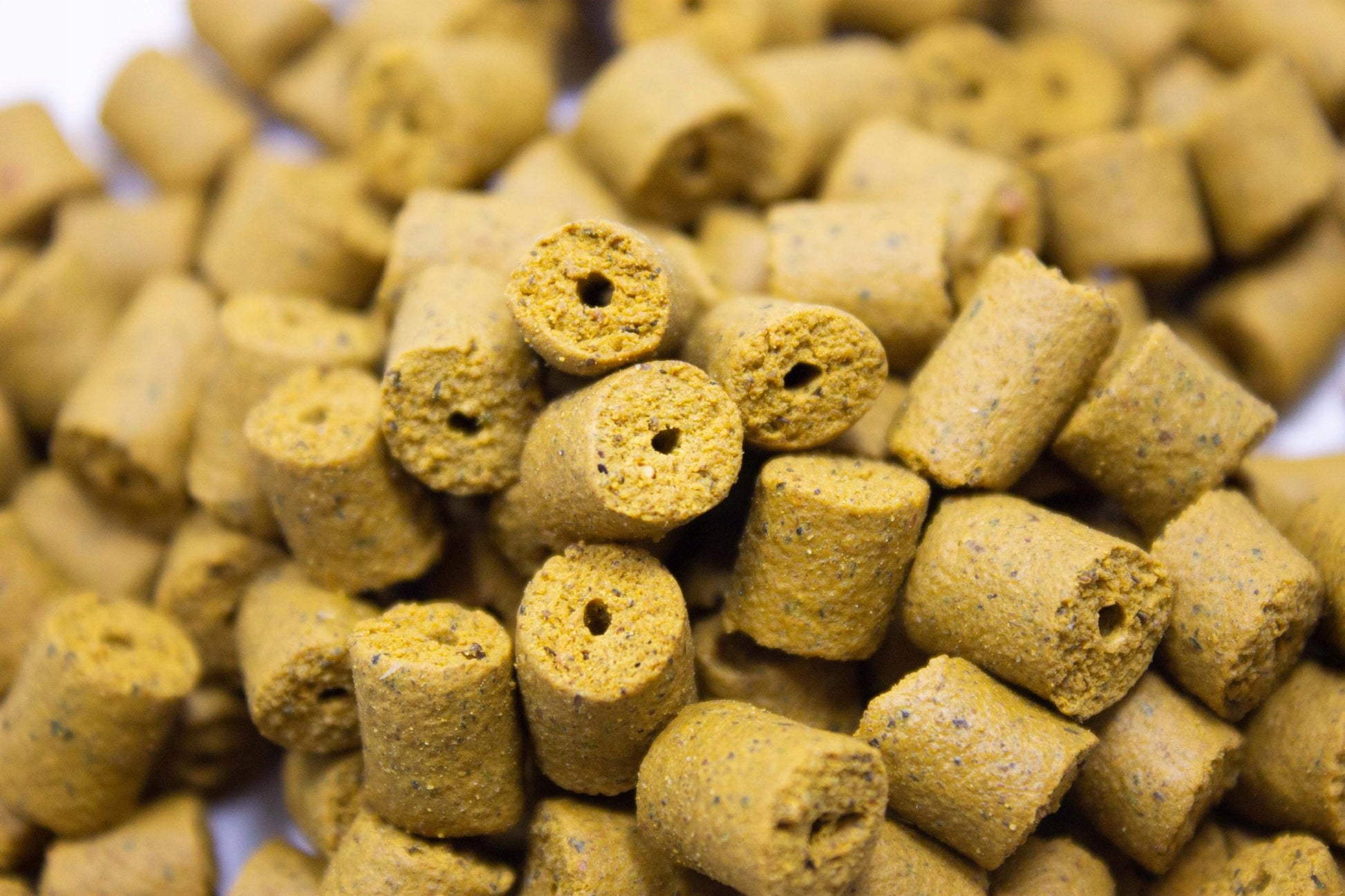 cafc2489007d2d332d4fd1a40878b0f6