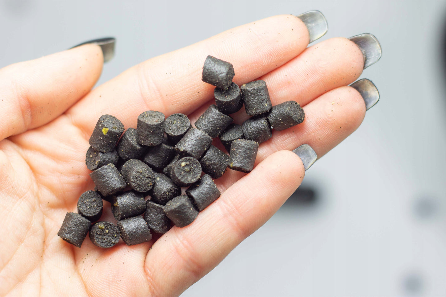 acdcfdbc9b381a70d813d647bc3b88cd