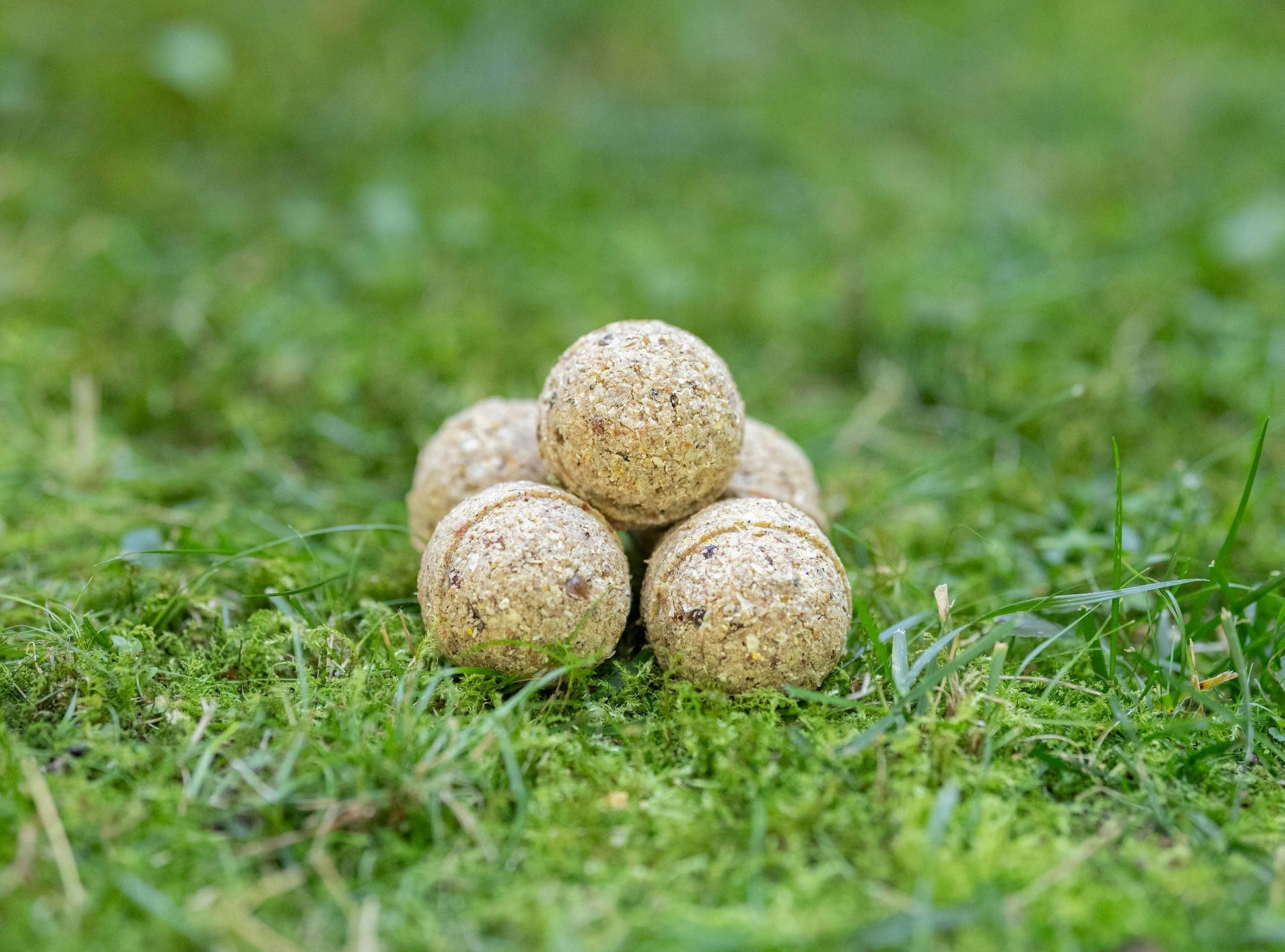 8e81d4c6ff61644c5cd9b125fd5f88f1