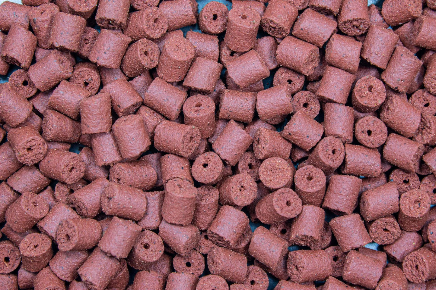 737c750a700f97cf0ef1a795a1463aab