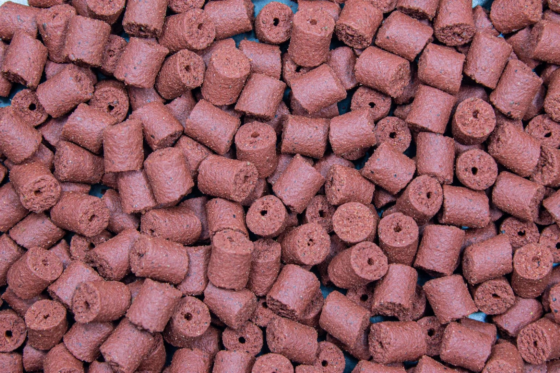 737c750a700f97cf0ef1a795a1463aab