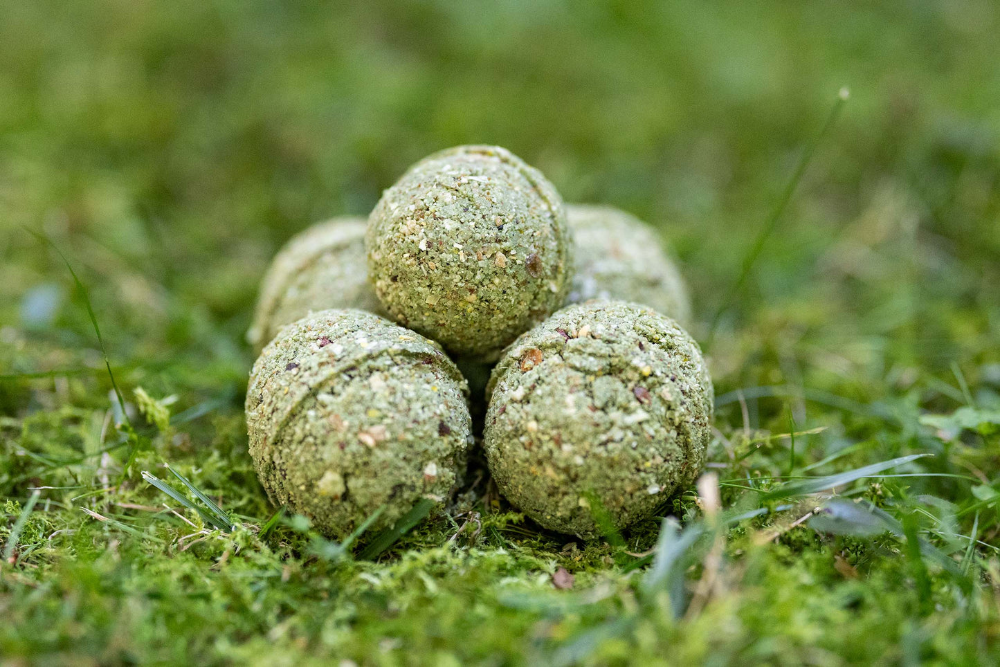 ZANĘTA GO-FISHING METHOD FEEDER TAJNY AGENT