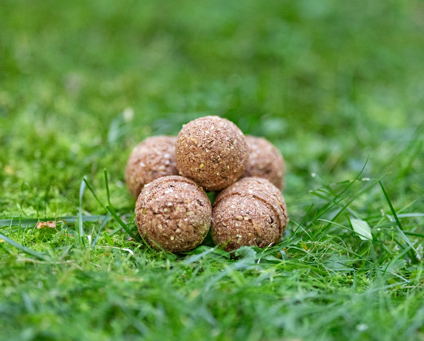 ZANĘTA GO-FISHING TRUSKAWKA