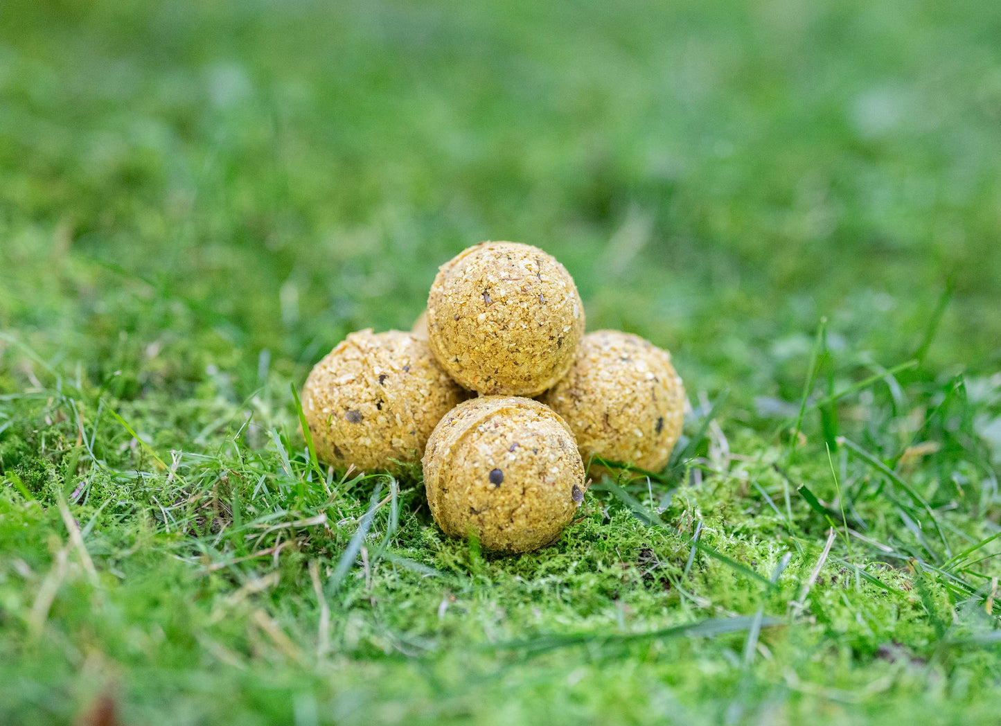 ZANĘTA GO-FISHING WANILIA